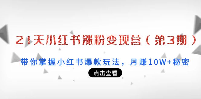21天小红书涨粉变现营（第3期）：带你掌握小红书爆款玩法，月赚10W+秘密-源创资源网