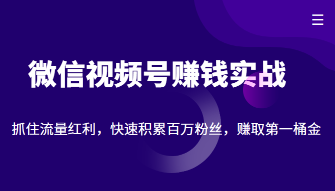 微信视频号赚钱实战：抓住流量红利，快速积累百万粉丝，赚取你的第一桶金-源创资源网