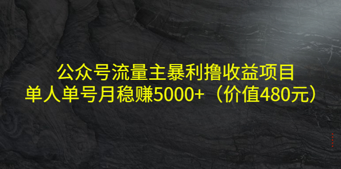公众号流量主暴利撸收益项目，单人单号月稳赚5000+（价值480元）-源创资源网