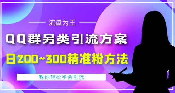 价值888的QQ群另类引流方案，半自动操作日200~300精准粉方法【视频教程】-源创资源网