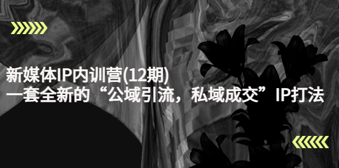 新媒体IP内训营(12期)，一套全新的“公域引流，私域成交”IP打法，直接带走-源创资源网