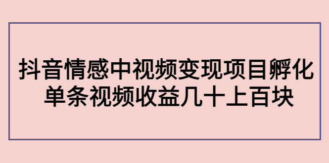 副业孵化营第5期：抖音情感中视频变现项目孵化 单条视频收益几十上百-源创资源网
