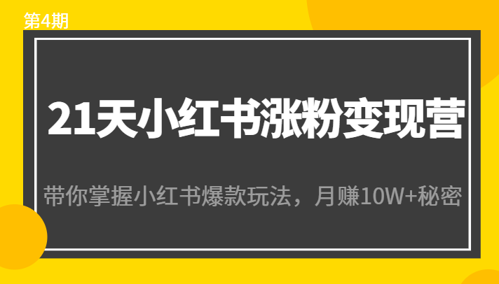 21天小红书涨粉变现营（第4期）：带你掌握小红书爆款玩法，月赚10W+秘密-源创资源网