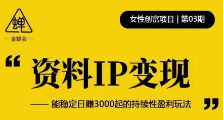 资料IP变现，能稳定日赚3000起的持续性盈利玩法-源创资源网