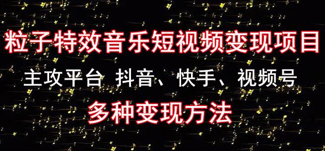 黄岛主《粒子特效音乐短视频变现项目》主攻平台抖音、快手、视频号多种变现方法-源创资源网