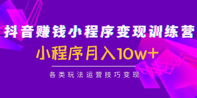 抖音赚钱小程序变现训练营：小程序月入10w+各类玩法运营技巧变现-源创资源网