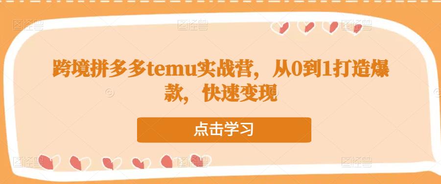 跨境拼多多temu实战营，从0到1打造爆款，快速变现-源创资源网