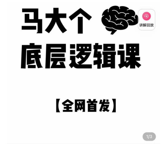 马大个·底层逻辑课，51节底层逻辑智慧课-价值1980元-源创资源网