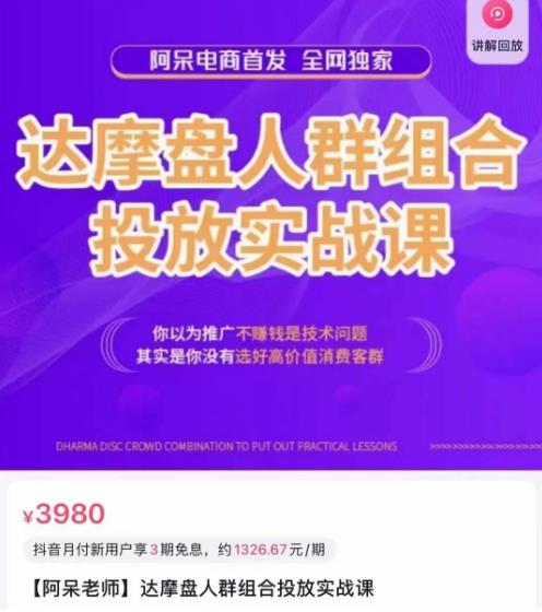 阿呆电商·达摩盘人群组合投放实战课，你以为推广不赚钱是技术问题，其实是你没有选好高价值消费客群-源创资源网
