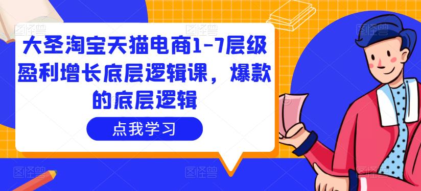 大圣淘宝天猫电商1-7层级盈利增长底层逻辑课，爆款的底层逻辑-源创资源网