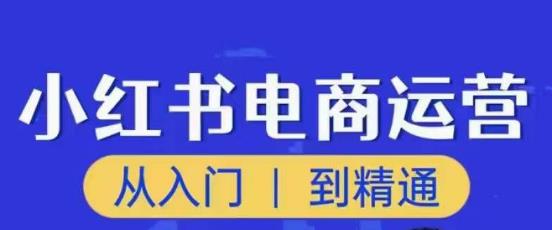 顽石小红书电商高阶运营课程，从入门到精通，玩法流程持续更新-源创资源网