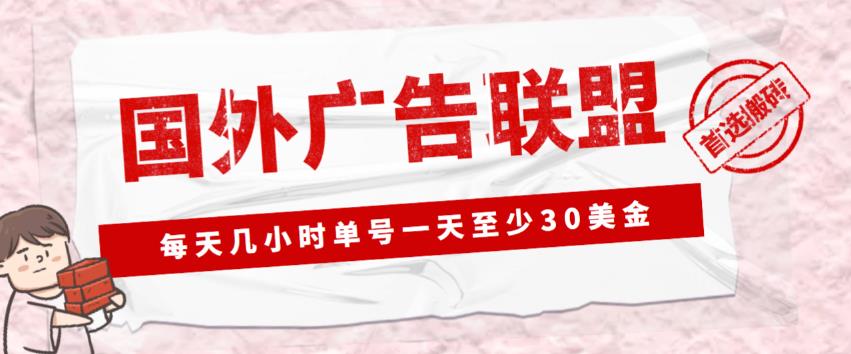 外面收费1980的最新国外LEAD广告联盟搬砖项目，单号一天至少30美金【详细玩法教程】-源创资源网