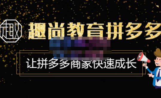 趣尚教育·拼多多运营实操VIP特训营，让拼多多商家快速成长-价值3180元-源创资源网