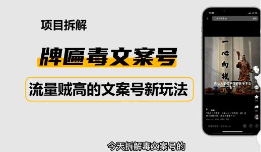 2023抖音快手毒文案新玩法，牌匾文案号，起号快易变现-源创资源网