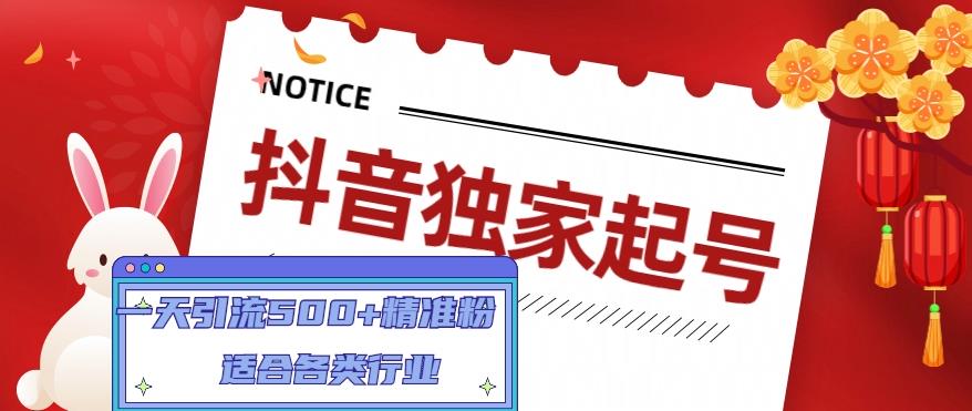 抖音独家起号，一天引流500+精准粉，适合各类行业（9节视频课）-源创资源网