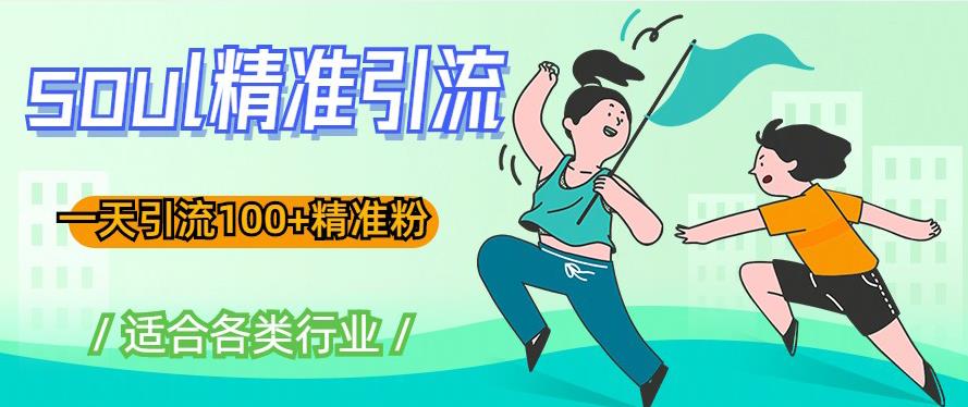 soul精准引流系列课程，一天引流100+精准粉，适合各类行业-源创资源网