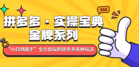 拼多多·实操宝典：金牌系列“小白到高手”带你全方位玩转拼多多各种玩法-源创资源网