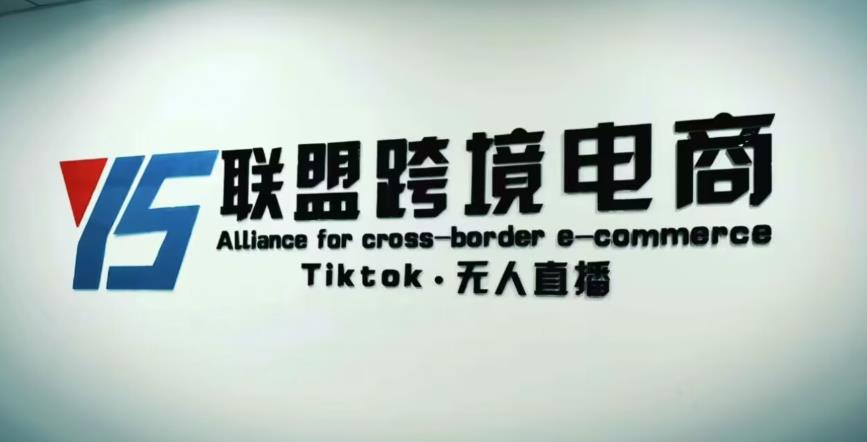 YS联盟·Tiktok无人直播，不出镜不剪辑不拍摄不发货无售后的跨境短视频躺赚玩法-源创资源网