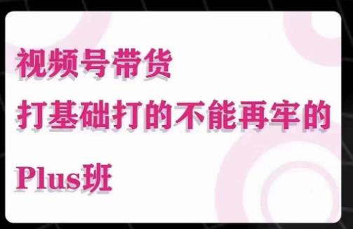大播汇·视频号带货Puls班，视频号底层逻辑，起号自然流鱼塘等玩法-源创资源网