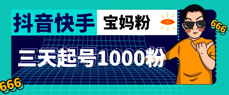 抖音快手三天起号涨粉1000宝妈粉丝的核心方法【详细玩法教程】-源创资源网