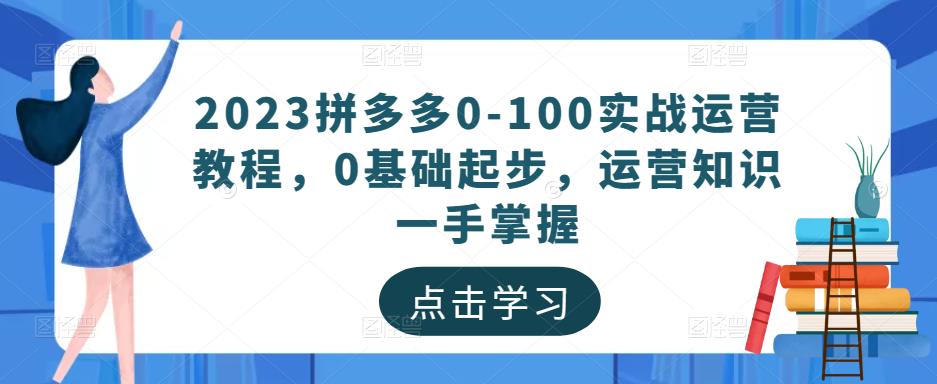 2023拼多多0-100实战运营教程，0基础起步，运营知识一手掌握-源创资源网