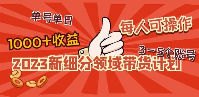 2023新细分领域带货计划：单号单日1000+收益不难，每人可操作3-5个账号-源创资源网