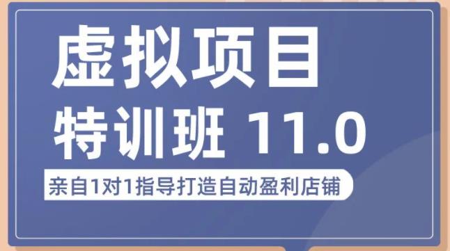 陆明明·虚拟项目特训班（10.0+11.0），0成本获取虚拟素材，0基础打造自动盈利店铺-源创资源网