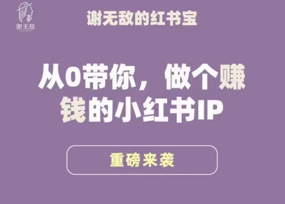 谢无敌·小红书运营大宝典，从0带你做个赚钱的小红书IP-源创资源网