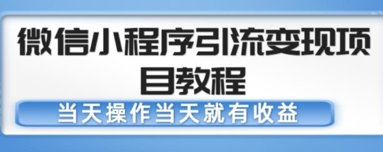 微信小程序引流变现项目教程，当天操作当天就有收益，变现不再是难事-源创资源网