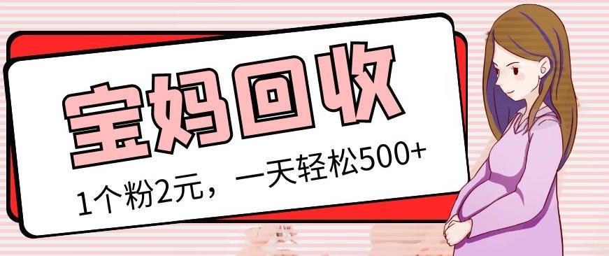 最新宝妈粉回收变现计划及胎教音乐高端变现玩法全套教程！（非老玩法）-源创资源网