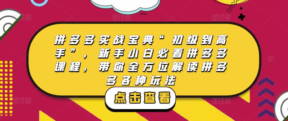 拼多多实战宝典“初级到高手”，新手小白必看拼多多课程，带你全方位解读拼多多各种玩法-源创资源网