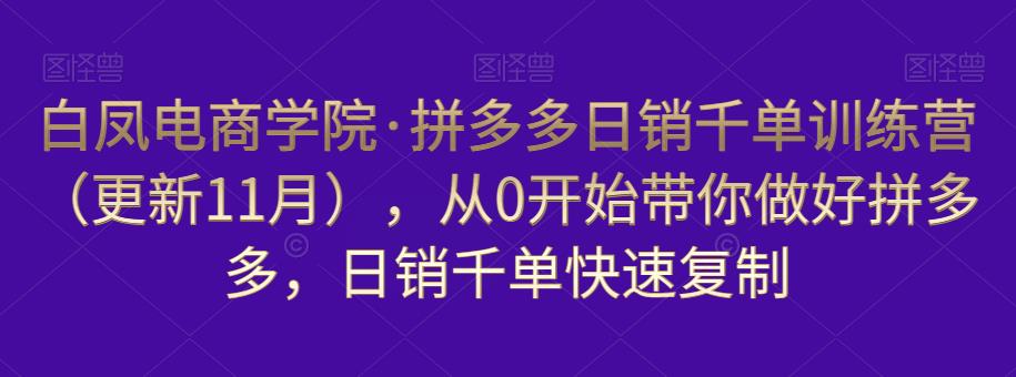 白凤电商学院·拼多多日销千单训练营，从0开始带你做好拼多多，日销千单快速复制（更新知2023年3月）-源创资源网
