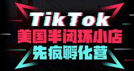 疯人院·TikTok美国半闭环小店孵化营，抢占TikTok美国蓝海市场，开店、运营、带货、投流全实操-源创资源网
