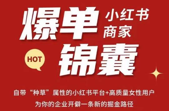 无畏·小红书商家爆单锦囊，掌握小红书各大规则，快速精准抢占行业和市场-源创资源网
