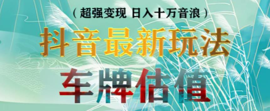 抖音最新无人直播变现直播车牌估值玩法项目，轻松日赚几百+【详细玩法教程】-源创资源网