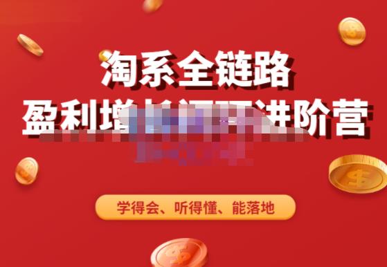 淘系全链路盈利增长闭环进阶营，融合全店动销，学得会、听得懂、能落地！-源创资源网