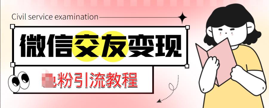 微信交友变现项目，吸引全网LSP男粉精准变现，小白也能轻松上手，日入500+-源创资源网