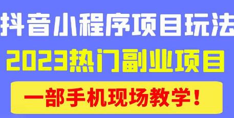 抖音小程序9.0新技巧，2023热门副业项目，动动手指轻松变现-源创资源网