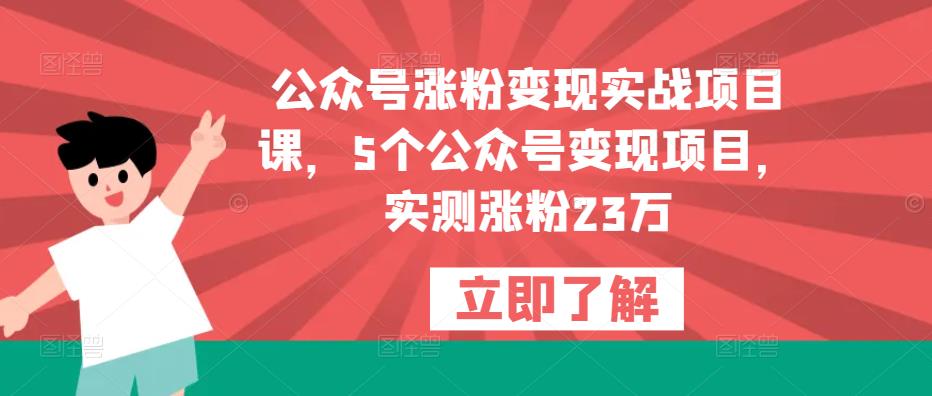 公众号涨粉变现实战项目课，5个公众号变现项目，实测涨粉23万-源创资源网