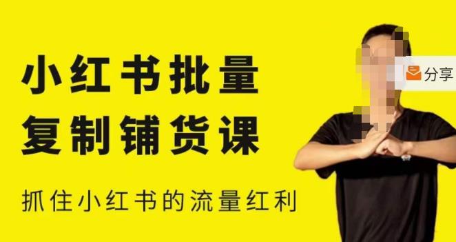 张宾·小红书批量复制铺货课，小红书0-1快速起号变现玩法，抓住小红书的流量红利（更新2023年3月）-源创资源网