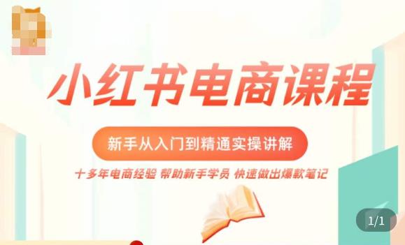 小红书电商新手入门到精通实操课，从入门到精通做爆款笔记，开店运营-源创资源网
