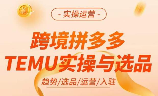 跨境拼多多TEMU实操与选品，​掌握平台运营方法技巧，选品避坑12条标准，爆款的底层思路等-源创资源网