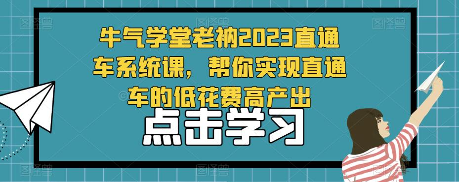 牛气学堂老衲2023直通车系统课，帮你实现直通车的低花费高产出-源创资源网