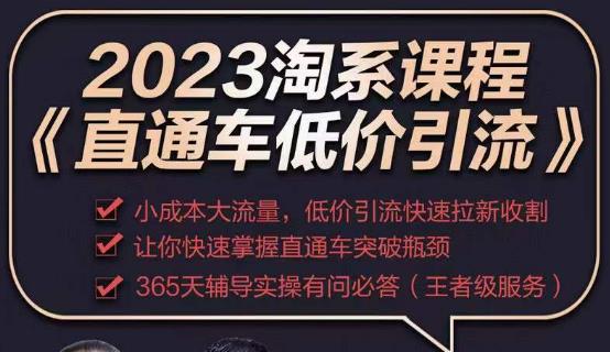 2023直通车低价引流玩法课程，小成本大流量，低价引流快速拉新收割，让你快速掌握直通车突破瓶颈-源创资源网