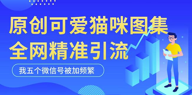 黑科技纯原创可爱猫咪图片，全网精准引流，实操5个VX号被加频繁-源创资源网