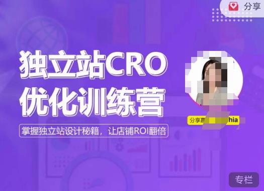 独立站CRO优化训练营，掌握独立站设计秘籍，打造高转化的独立站，让店铺ROI翻倍-源创资源网