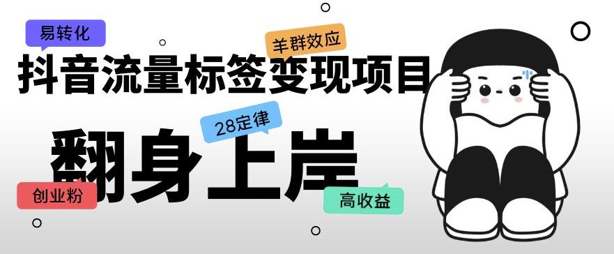抖音流量标签变现项目，抖音创业粉轻松转化，单价高收益简单-源创资源网