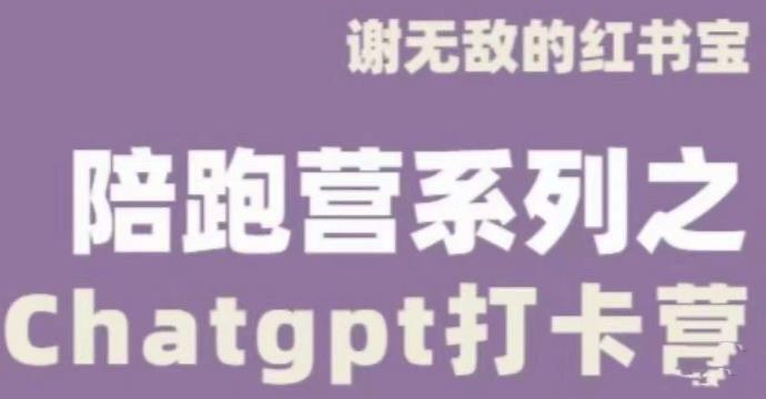 谢无敌ChatGPT打卡营，教你更好地使用ChatGPT来提高工作效率-源创资源网