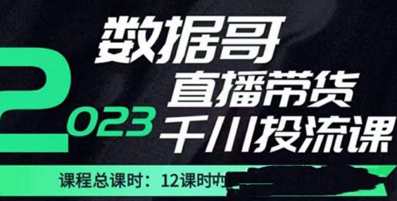 数据哥2023直播电商巨量千川付费投流实操课，快速掌握直播带货运营投放策略-源创资源网