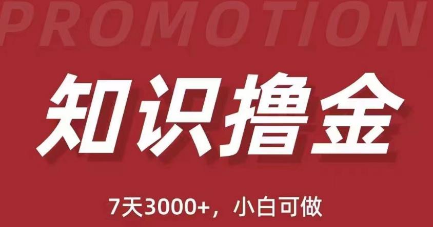 抖音知识撸金项目：简单粗暴日入1000+执行力强当天见收益(教程+资料)-源创资源网